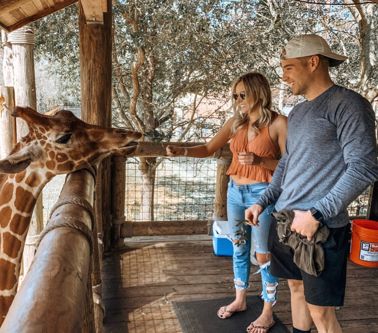 Are Dogs Allowed At The Jacksonville Zoo